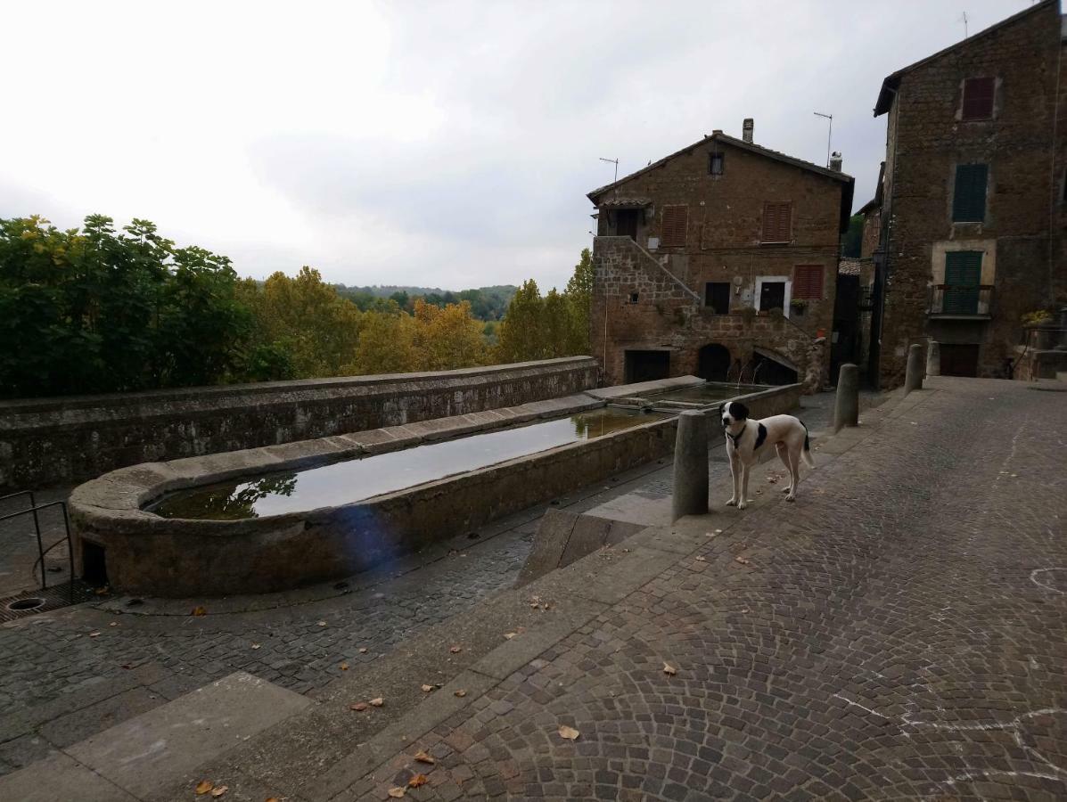 Nerone'S - Sutri Bed & Dinner Buitenkant foto